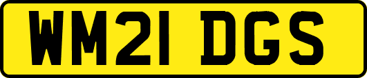 WM21DGS