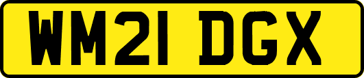 WM21DGX