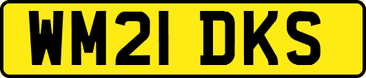 WM21DKS