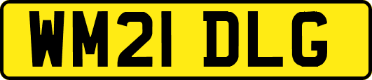 WM21DLG