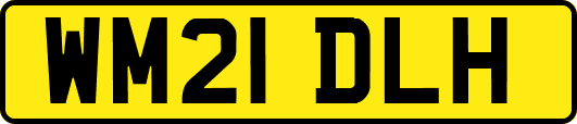 WM21DLH