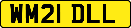 WM21DLL