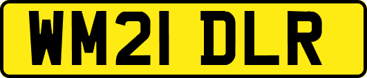 WM21DLR