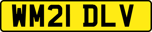 WM21DLV