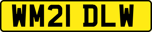 WM21DLW