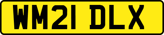WM21DLX