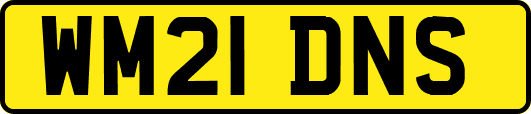 WM21DNS