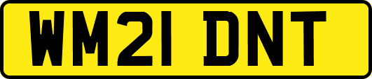 WM21DNT