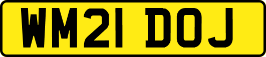 WM21DOJ