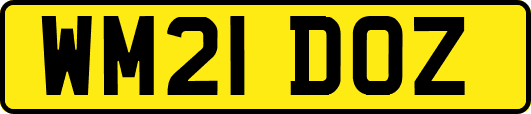 WM21DOZ