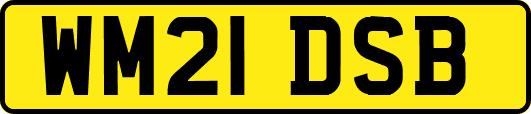 WM21DSB