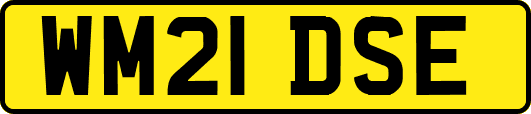 WM21DSE