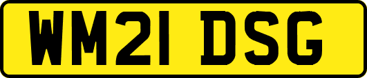 WM21DSG