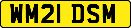 WM21DSM