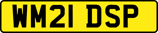 WM21DSP