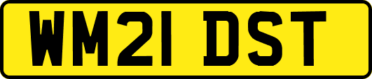 WM21DST