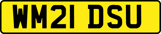 WM21DSU