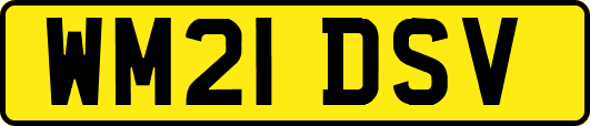 WM21DSV