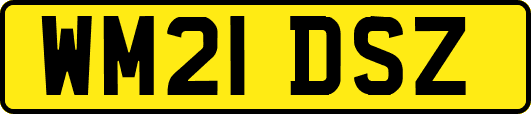 WM21DSZ