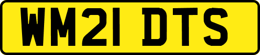 WM21DTS