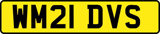 WM21DVS