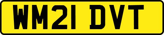 WM21DVT
