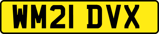 WM21DVX