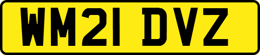WM21DVZ