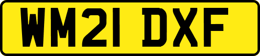 WM21DXF