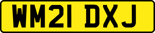 WM21DXJ