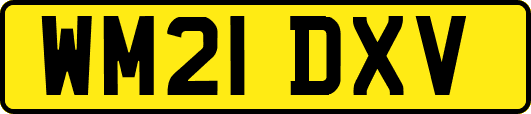 WM21DXV