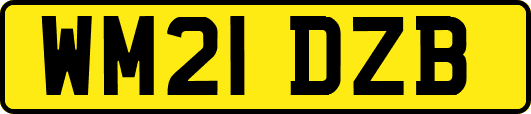 WM21DZB