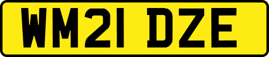 WM21DZE