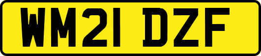 WM21DZF