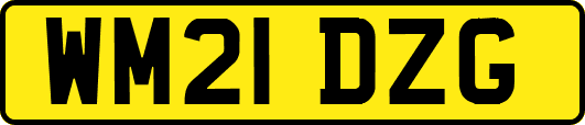 WM21DZG