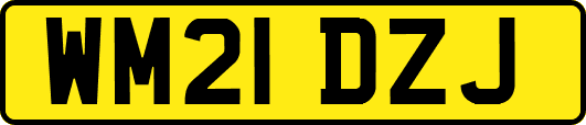 WM21DZJ