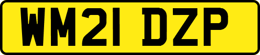 WM21DZP