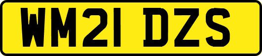 WM21DZS