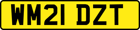 WM21DZT