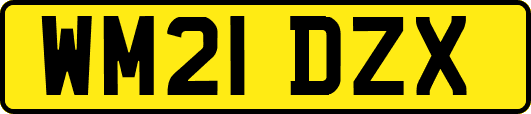 WM21DZX