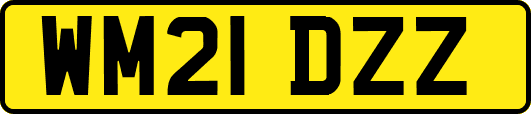 WM21DZZ