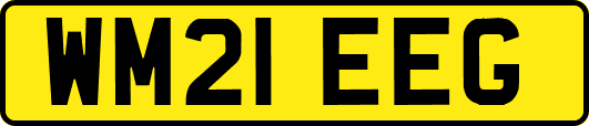 WM21EEG