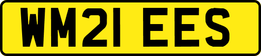 WM21EES