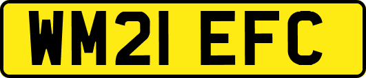 WM21EFC