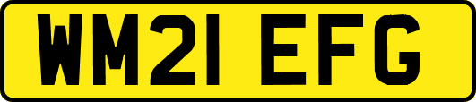 WM21EFG