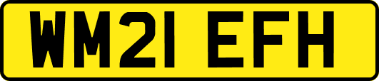 WM21EFH