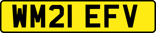 WM21EFV