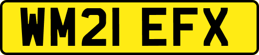 WM21EFX