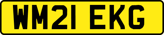 WM21EKG