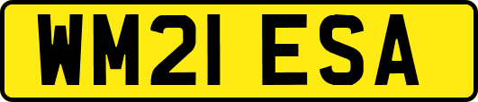 WM21ESA